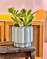 Cloud Burst Ceramic Pot - Plant Daddy