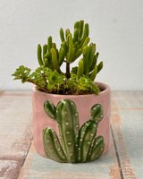 Cute Cactus Ceramic Pot - Plant Daddy