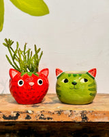 Fruity Cute Cat Ceramic Pot - Plant Daddy