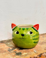 Fruity Cute Cat Ceramic Pot - Plant Daddy
