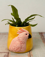 Fur - and - Feather Friends Ceramic Pot - Plant Daddy