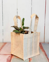 Mini Gift Jute Bag - Plant Daddy