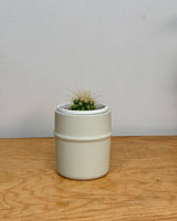 Pond Stoneware Pot - Plant Daddy