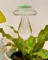 Shroomie Water Seeper - Plant Daddy