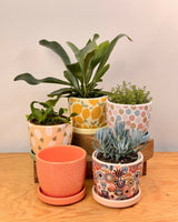 Sprinkle and Bloom Pot - Plant Daddy