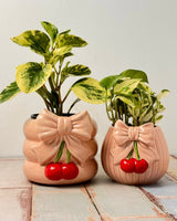Sweet Cherry Bow Pot - Plant Daddy