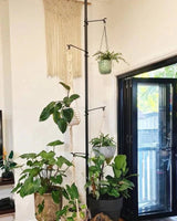 Plant pole tension- Black - Plant Daddy