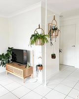 Plant pole tension- White - Plant Daddy