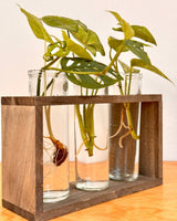 Tube Propagation Station - Plant Daddy