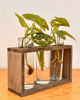 Tube Propagation Station - Plant Daddy