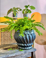 Ursula Ceramic Pot - Plant Daddy