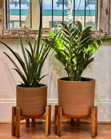 Wood & Earth Planter Set - Plant Daddy