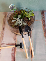 Mini Hand Tool Set - Plant Daddy