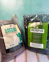 Plant Daddy in-store potting service - Plant Daddy