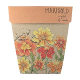 Marigolds Card of Seeds - Plant Daddy
