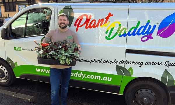 Delivery Service 🪴🚐 - Plant Daddy