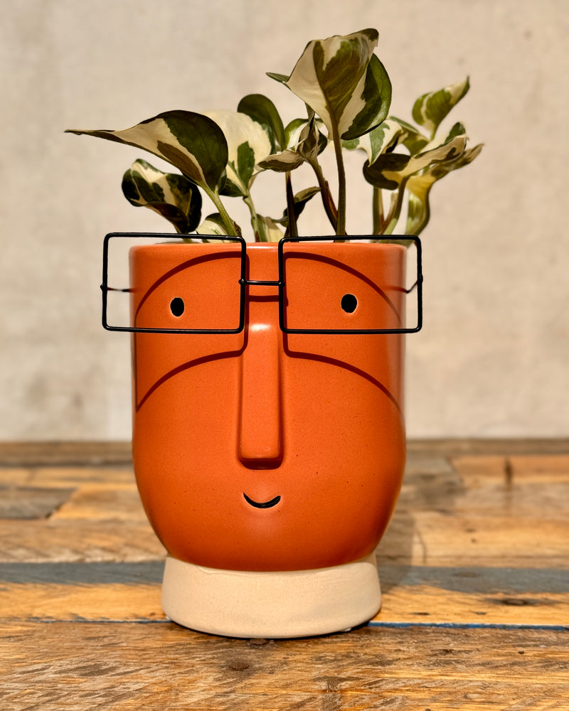 Damon Ceramic Planter - Plant Daddy