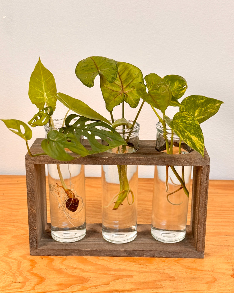 Tube Propagation Station