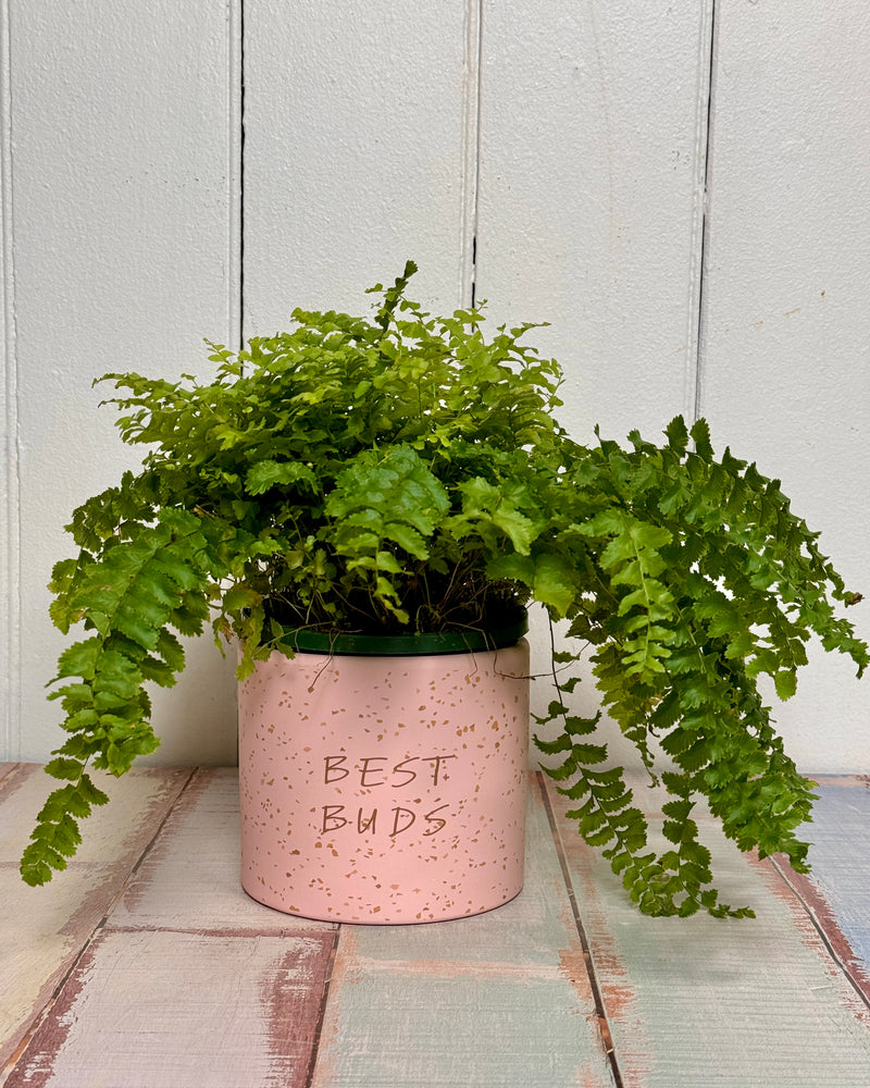 Proud parent planter pot