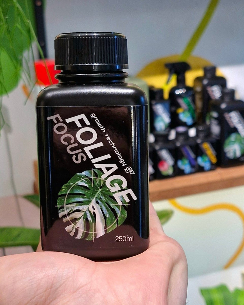 gt focus on foliage plant fertilizer Growth Technology Foliage Focus | Indoor Plant Food