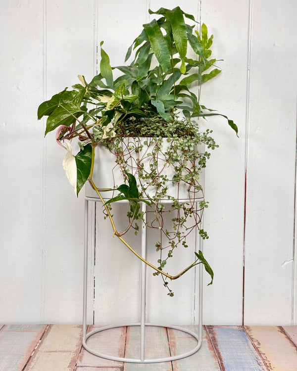 Basin Plant Stand