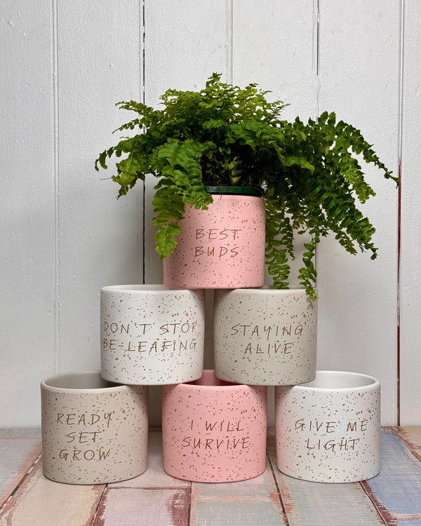 Proud parent planter pot