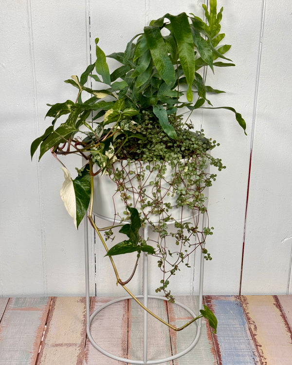 Basin Plant Stand