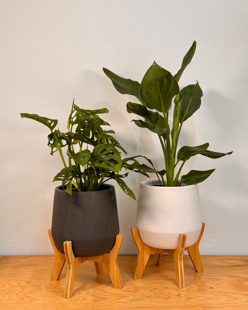 Tubbie Ceramic Planter with Stand