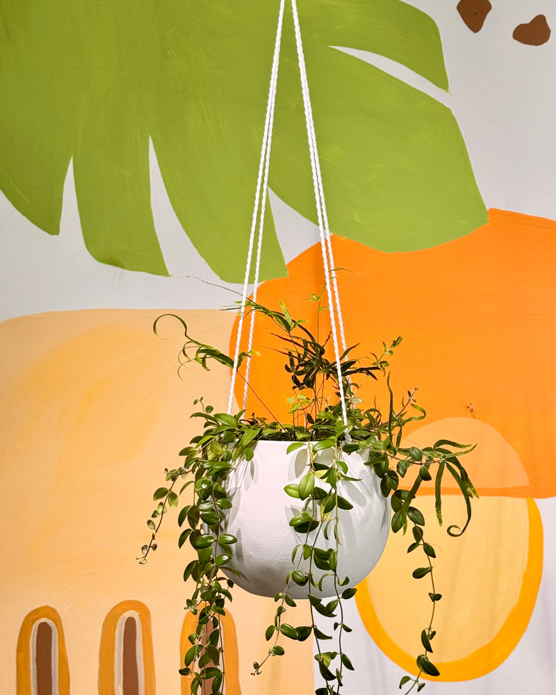 Bop Ceramic Hanging Planter