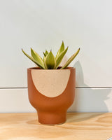 Maison Ember Ceramic Pot
