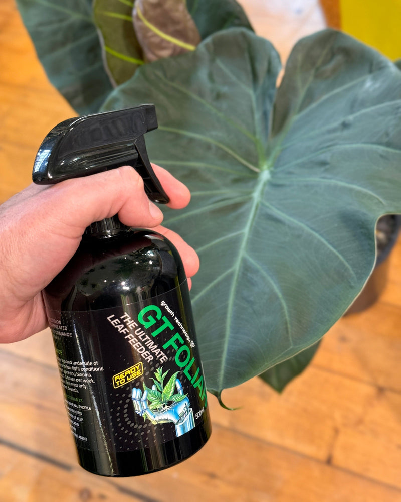 Growth Technology (GT) Foliar Spray- Faster Growth - Plant Daddy