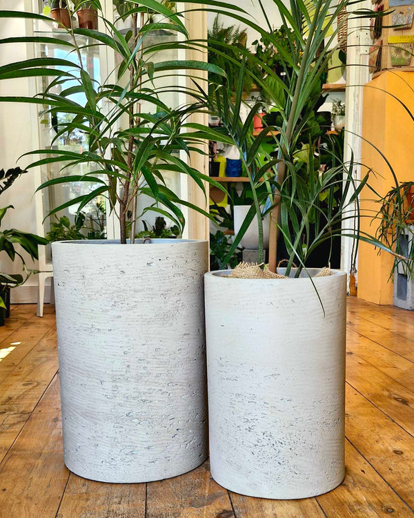 Cylinder Planter - Cement