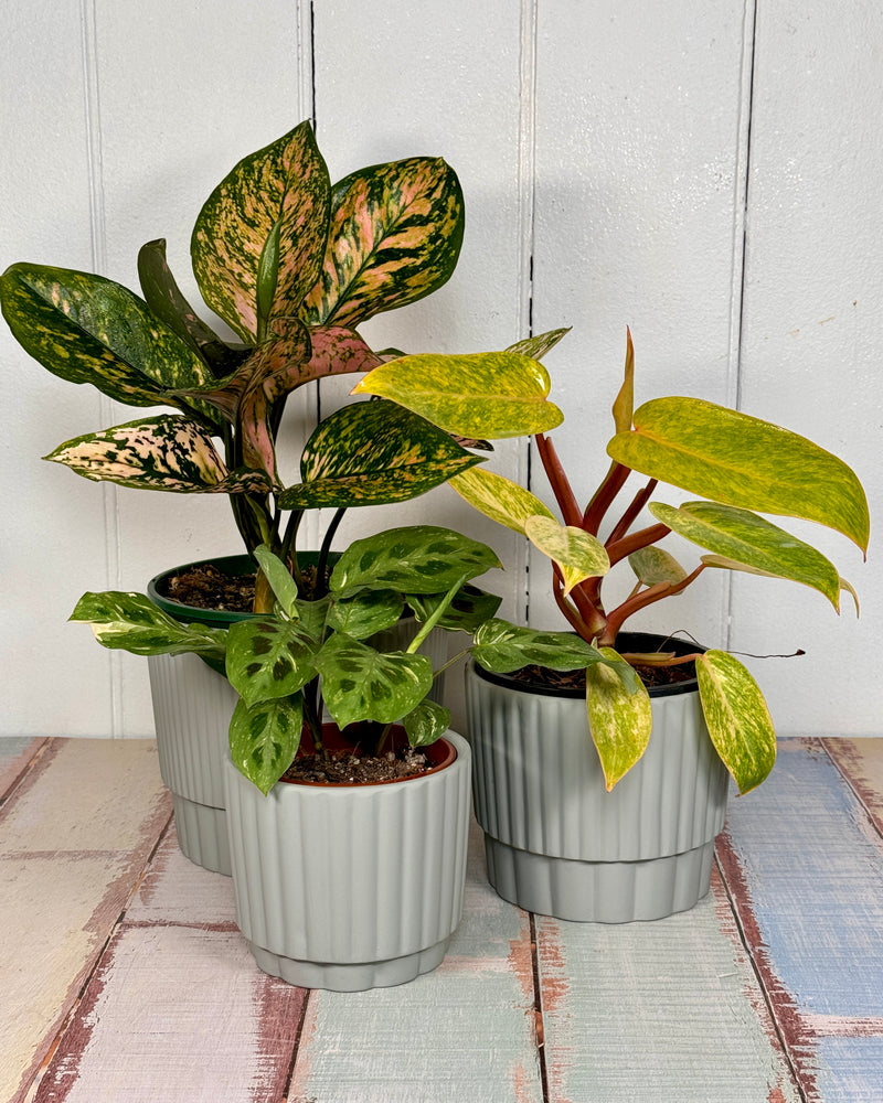 Cassette Planter Pot