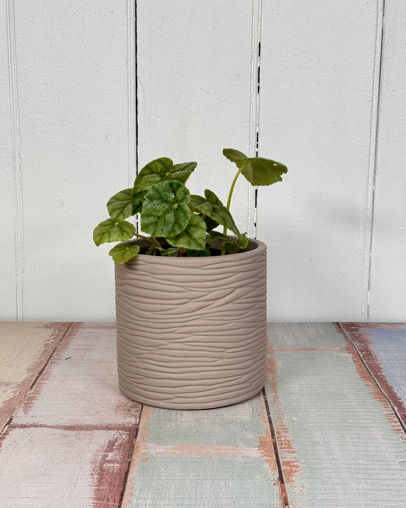 York Planter Pot