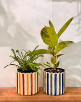 Luna Fleur Ceramic Pot - Plant Daddy