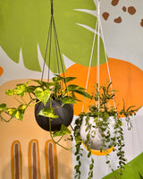 Bop Ceramic Hanging Planter