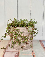 York Planter Pot