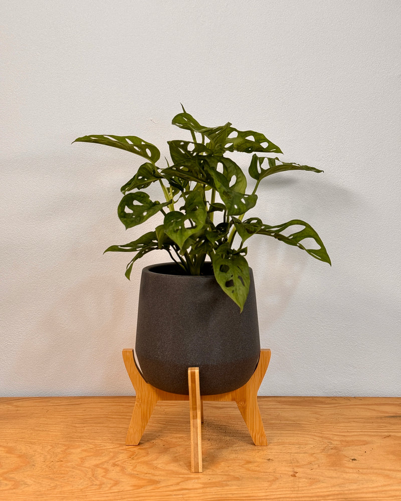 Tubbie Ceramic Planter with Stand