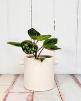 Yoke Planter Pot