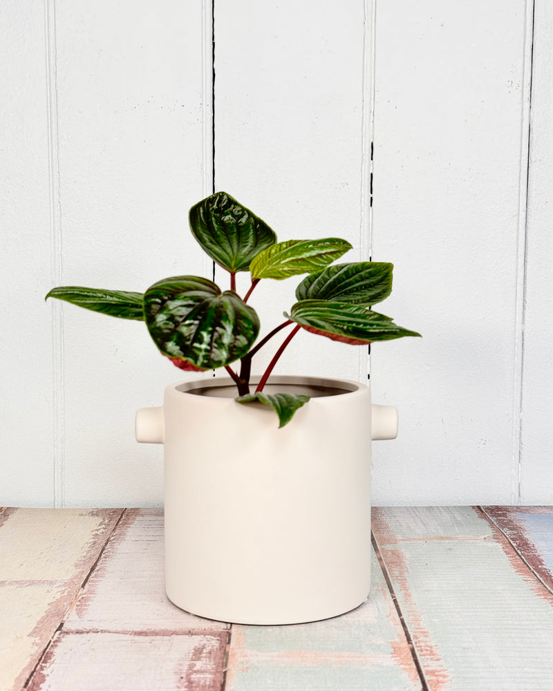 Yoke Planter Pot