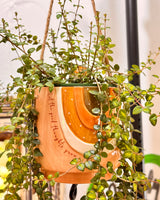 Lets Bloom Ceramic Hanging Planter - Plant Daddy