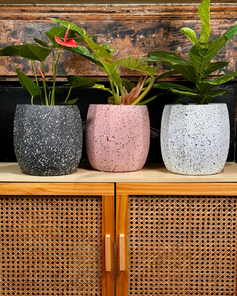 Crete Terrazzo Planter Pot - Plant Daddy