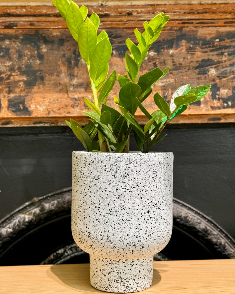 Amalfi Terrazzo Planter Pot