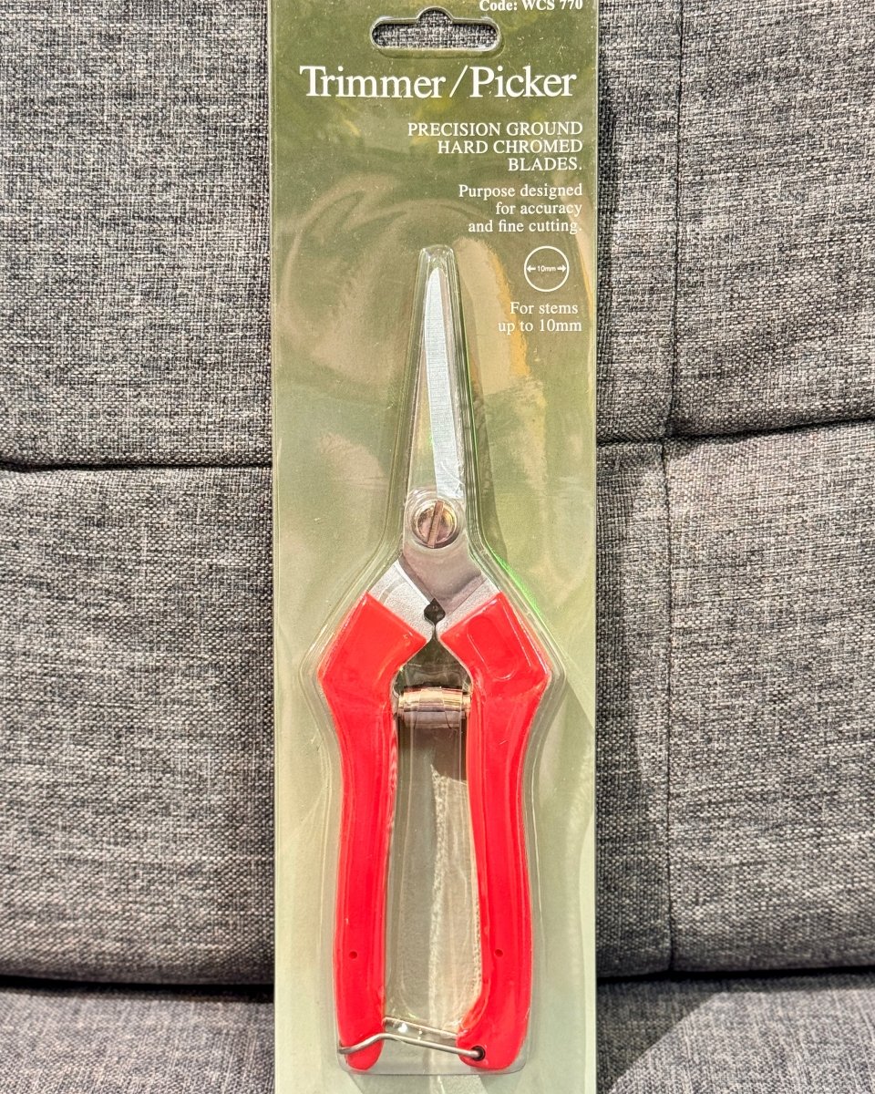 Precision Snips for House Plants | Plant Daddy