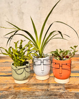 Damon Ceramic Planter - Plant Daddy