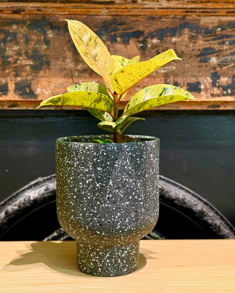 Amalfi Terrazzo Planter Pot