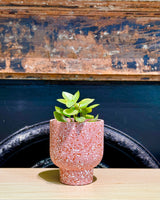 Amalfi Terrazzo Planter Pot