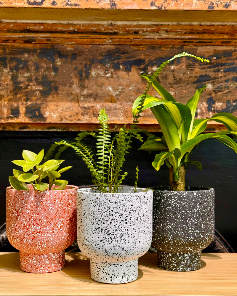 Amalfi Terrazzo Planter Pot