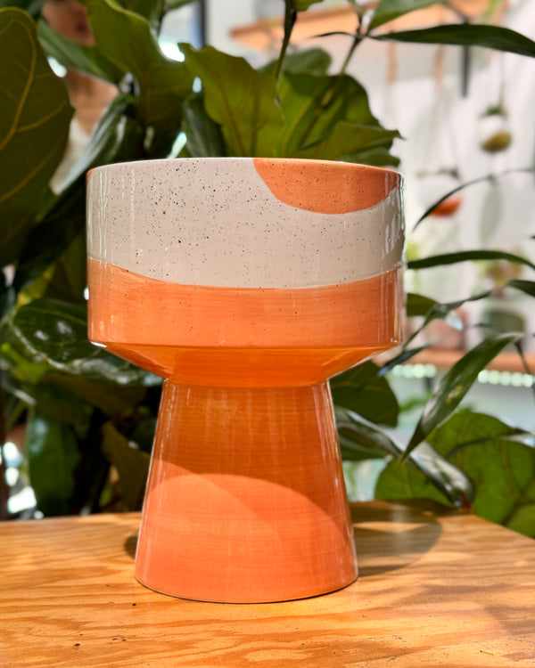 Wave Tall Ceramic Planter - Plant Daddy