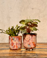 Arté Ceramic Planter - Plant Daddy